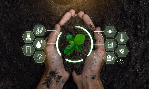 For The Health Of… Beyond Dirt: How Soil Powers Regeneration from the Ground Up