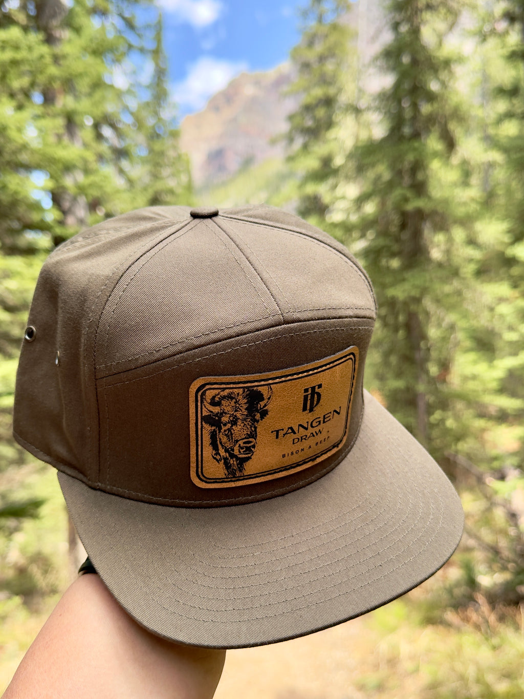 TD 7-Panel Hat