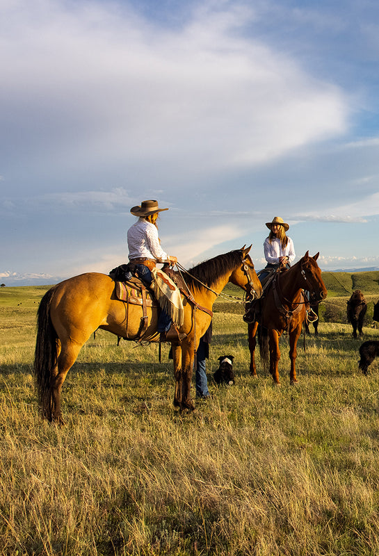 Tangen Draw ranchers on horseback.