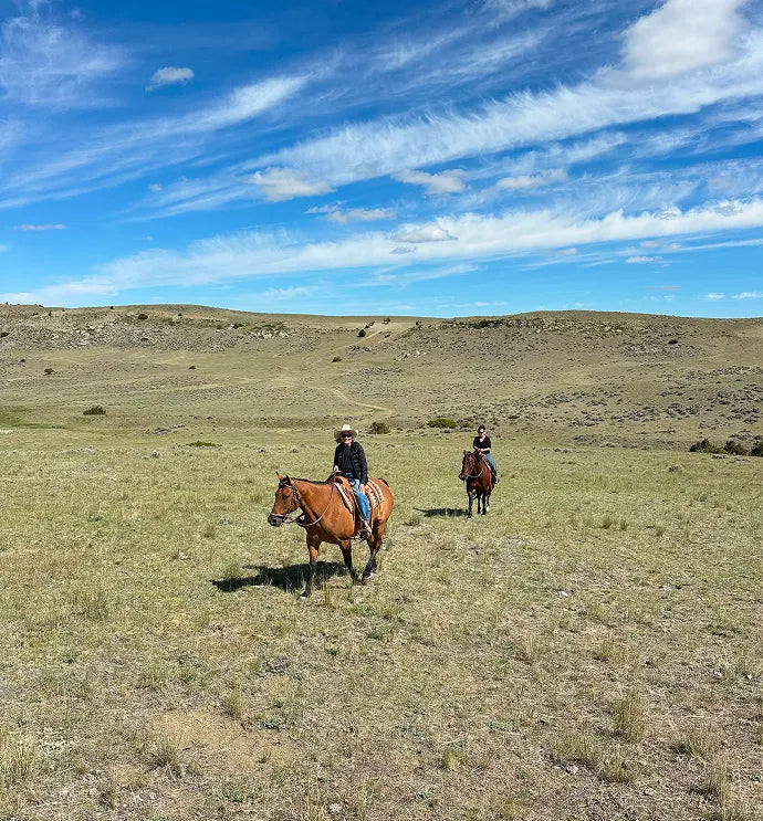 two riders on horseback on an open range