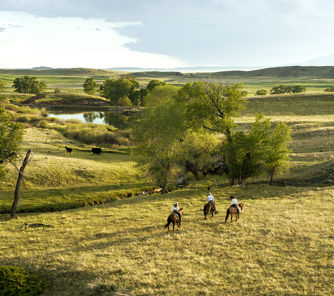 A scenic outdoor landscape with three riders on horseback across a grassy field near trees and a small pond, with cows in the distance under a cloudy sky.